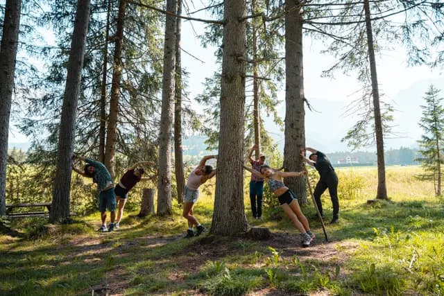 Esercizi nel bosco