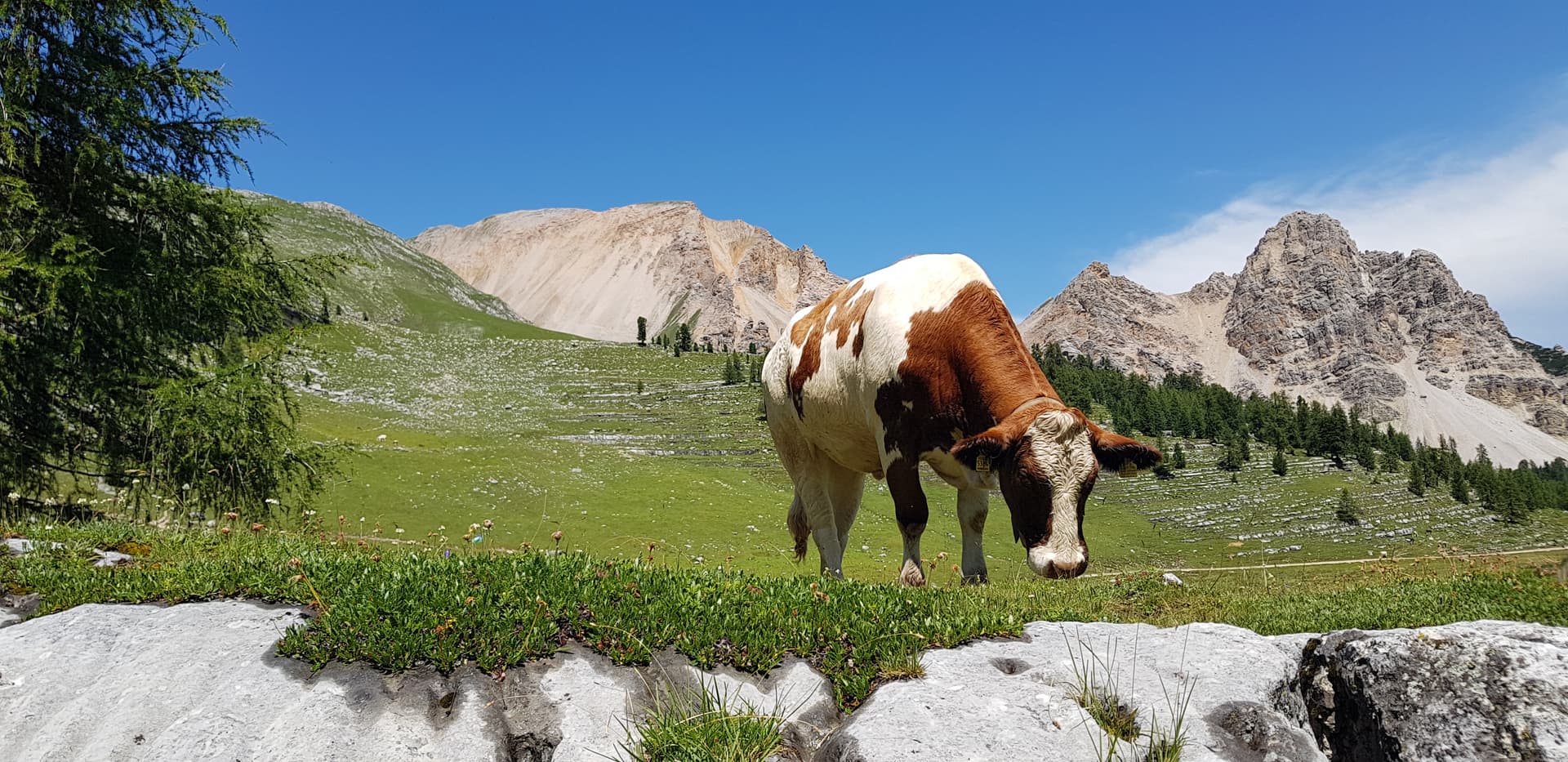 Trekking e degustazione 4